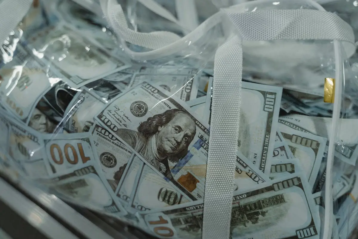 fractional cfo Close-up of transparent bag containing hundred dollar bills, symbolizing wealth.