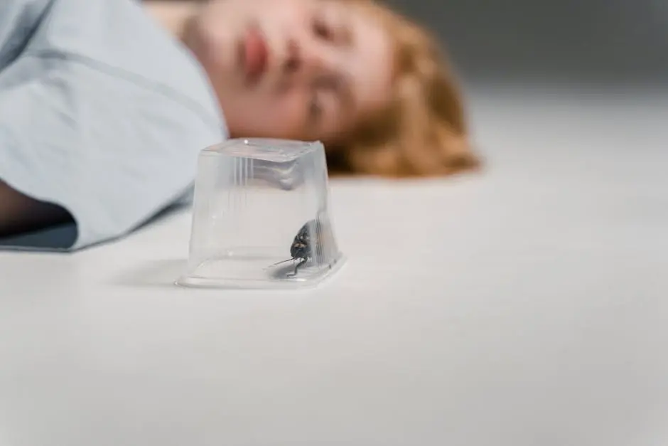 What Are the Benefits of Using Flying Insect Traps in Your Home? - Trappify