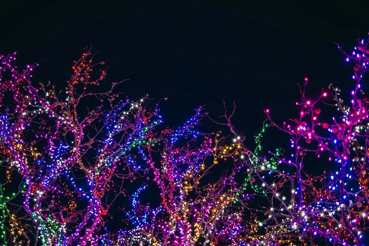 Colorful holiday lights illuminating tree branches against a dark night sky, perfect for festive backgrounds.
