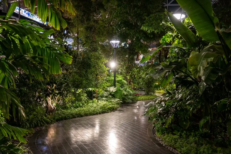 Illuminated garden pathway surrounded by lush greenery in Doha, Qatar at night.
