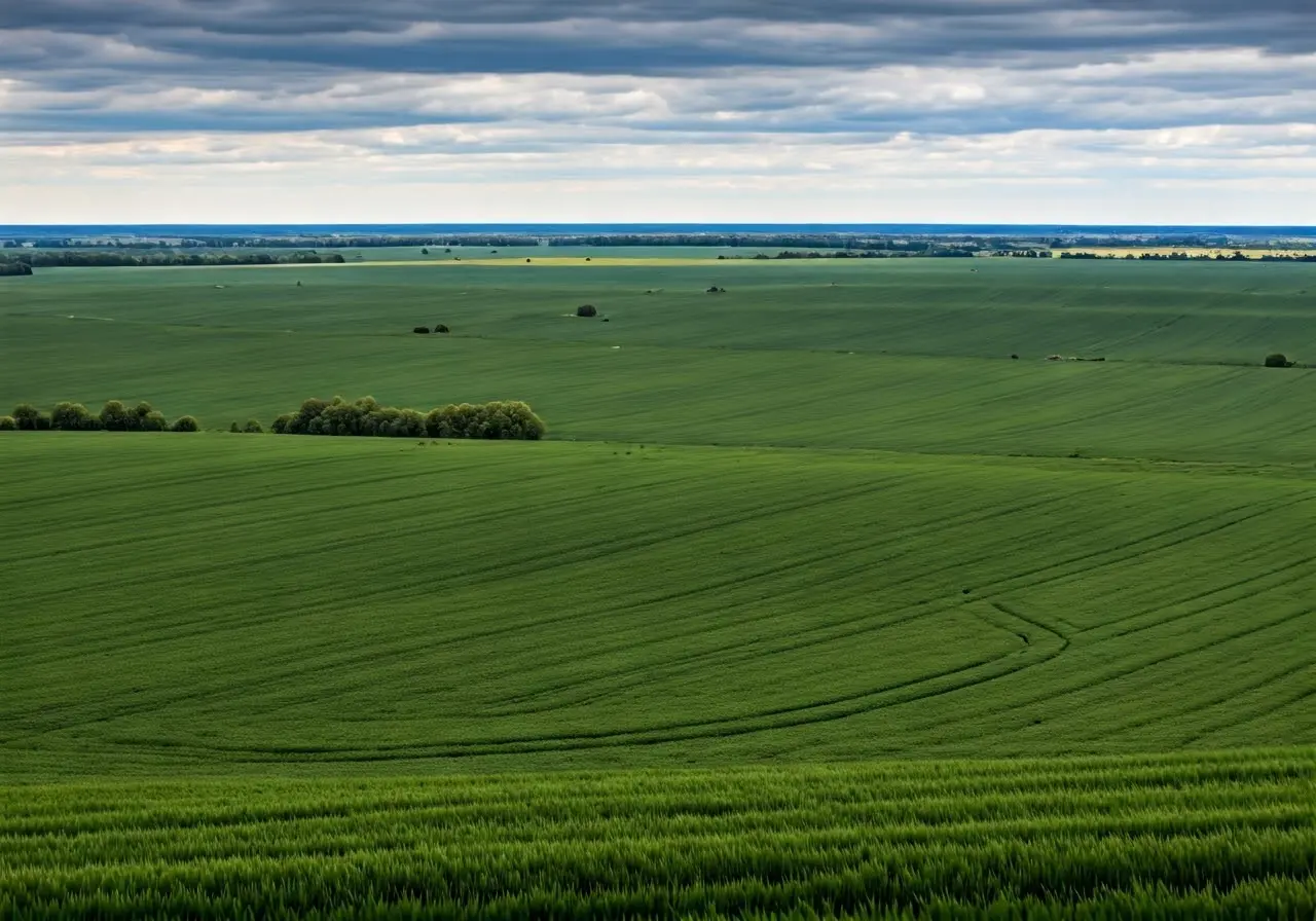 Drone flying over a vast, green agricultural field. 35mm stock photo
