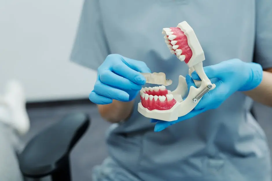 Close-up of a dental professional demonstrating with a teeth model in a clinic setting.