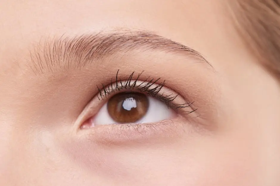 Detailed close-up of a woman’s natural brown eye, showcasing eyelashes and eyebrow.