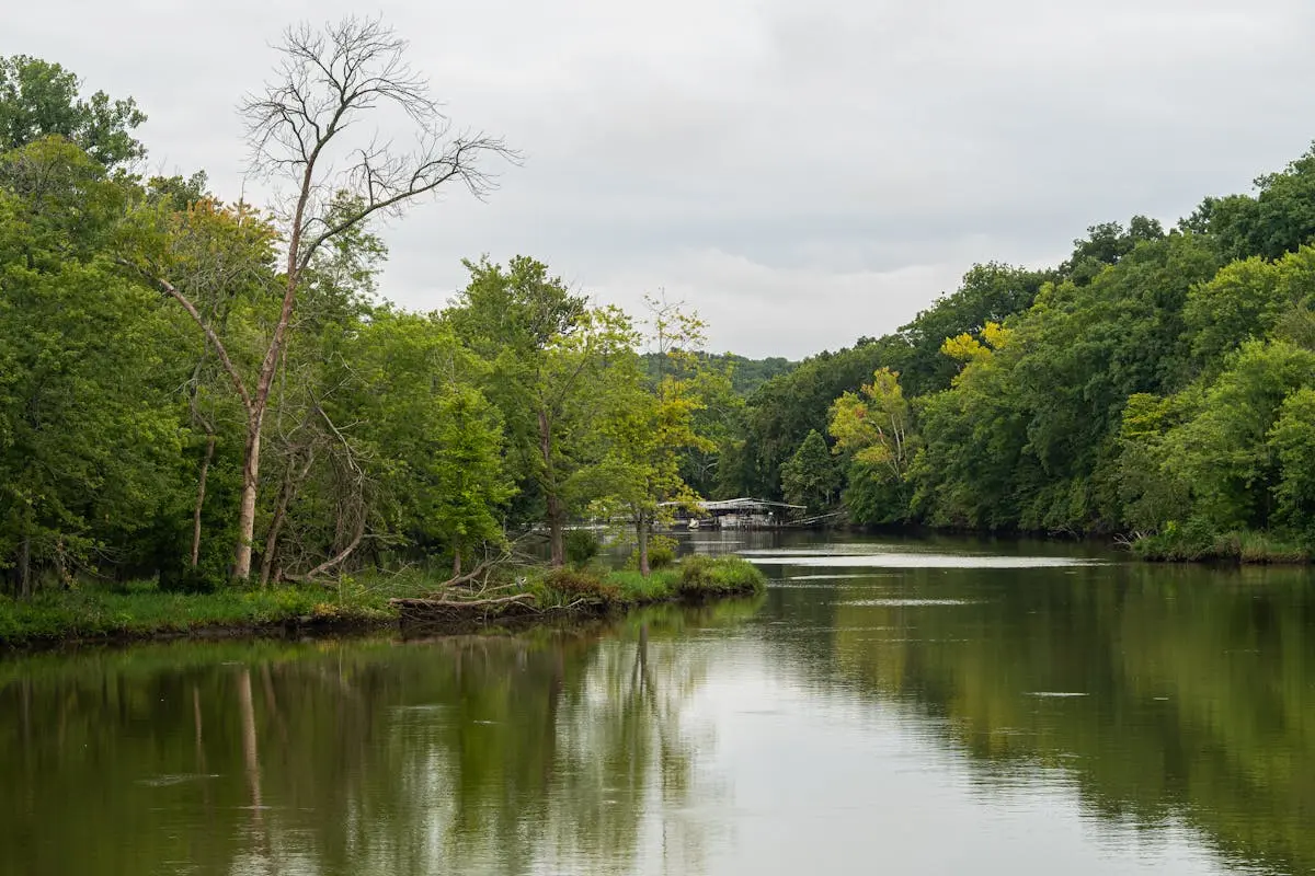 Peaceful river scene in Warsaw, Missouri showcasing lush greenery and calm waters.
