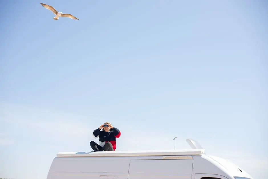 Woman birdwatching using binoculars from a campervan rooftop with a seagull in the sky in Portugal.