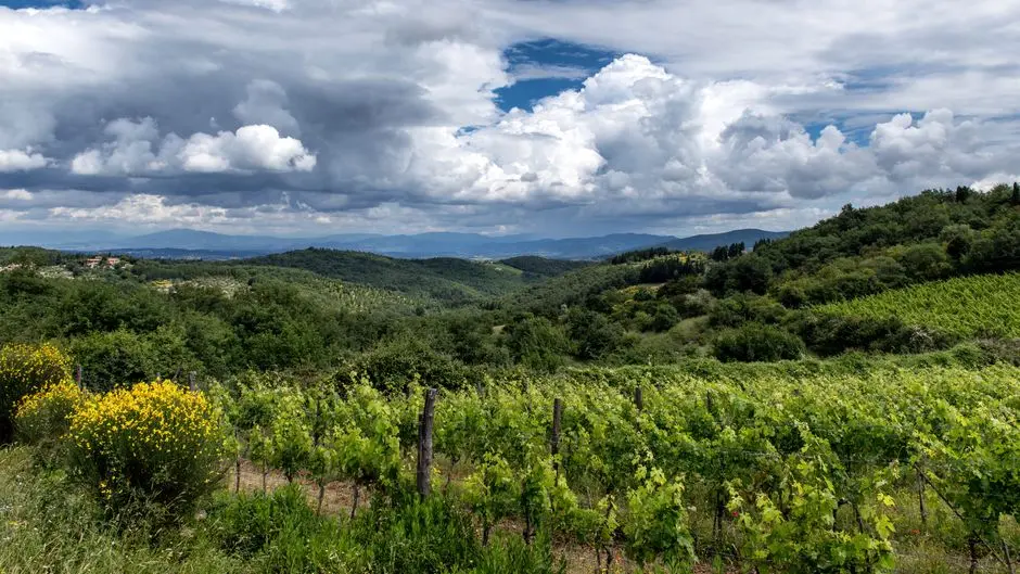 A breathtaking view of lush vineyards and rolling hills under dramatic skies in Tuscany, Italy.