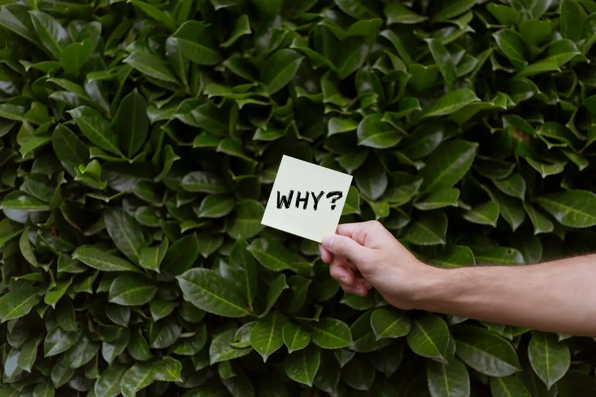 A person holds a paper with ‘Why?’ against a lush green bush, questioning or seeking ideas.