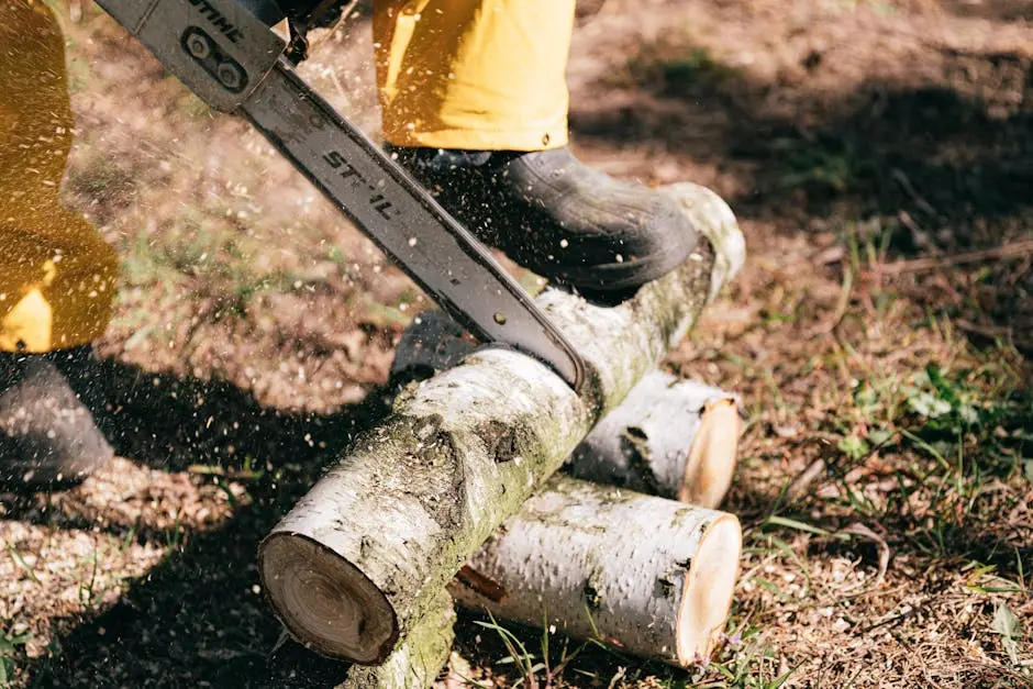 Forestry worker using a chainsaw to cut tree logs in an outdoor setting.