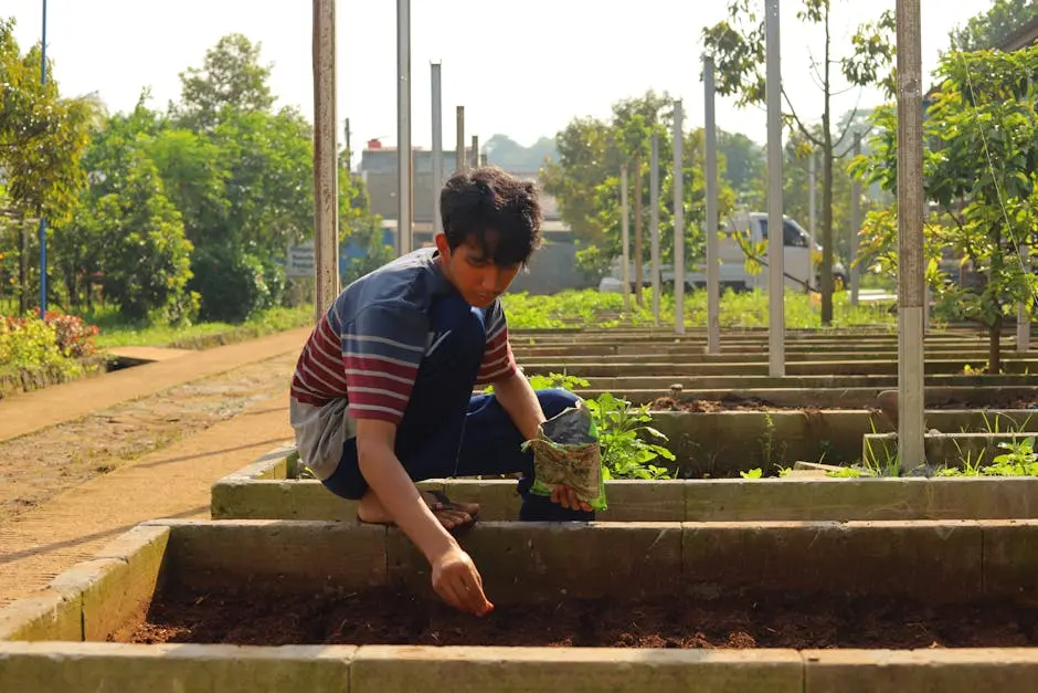 A young man is planting seeds in a neatly organized garden bed under the warm morning sun. With focus and care, he sows the soil using a small packet of seeds, surrounded by greenery and n…