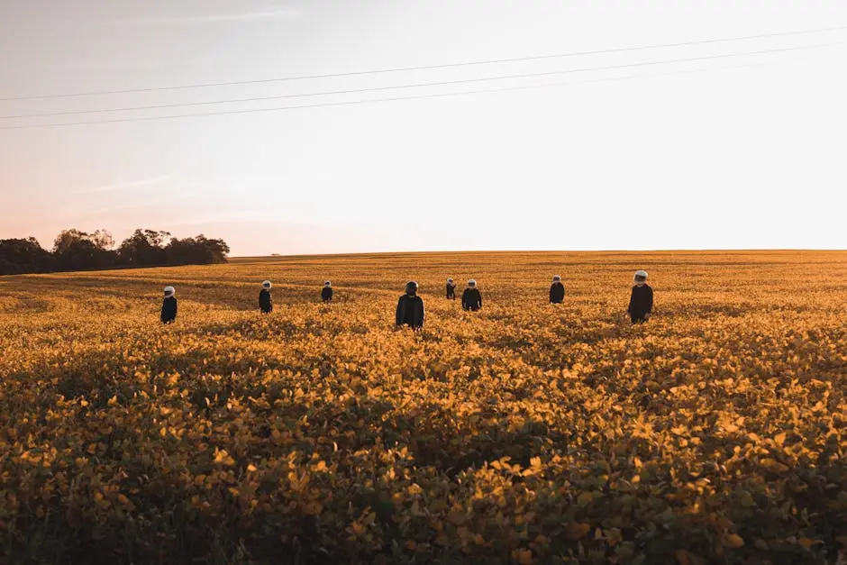 Men in motorcycle helmets stand in a vast golden field in Paraguay during sunset, invoking a conceptual theme.