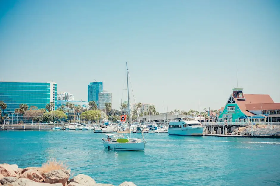 Sunny day at a lively marina with boats, yachts, and a city skyline in the background.