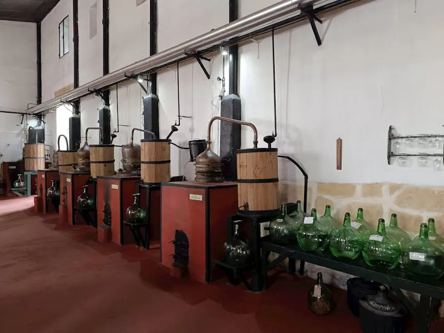 Interior view of an artisan distillery in El Puerto de Santa María, Spain.