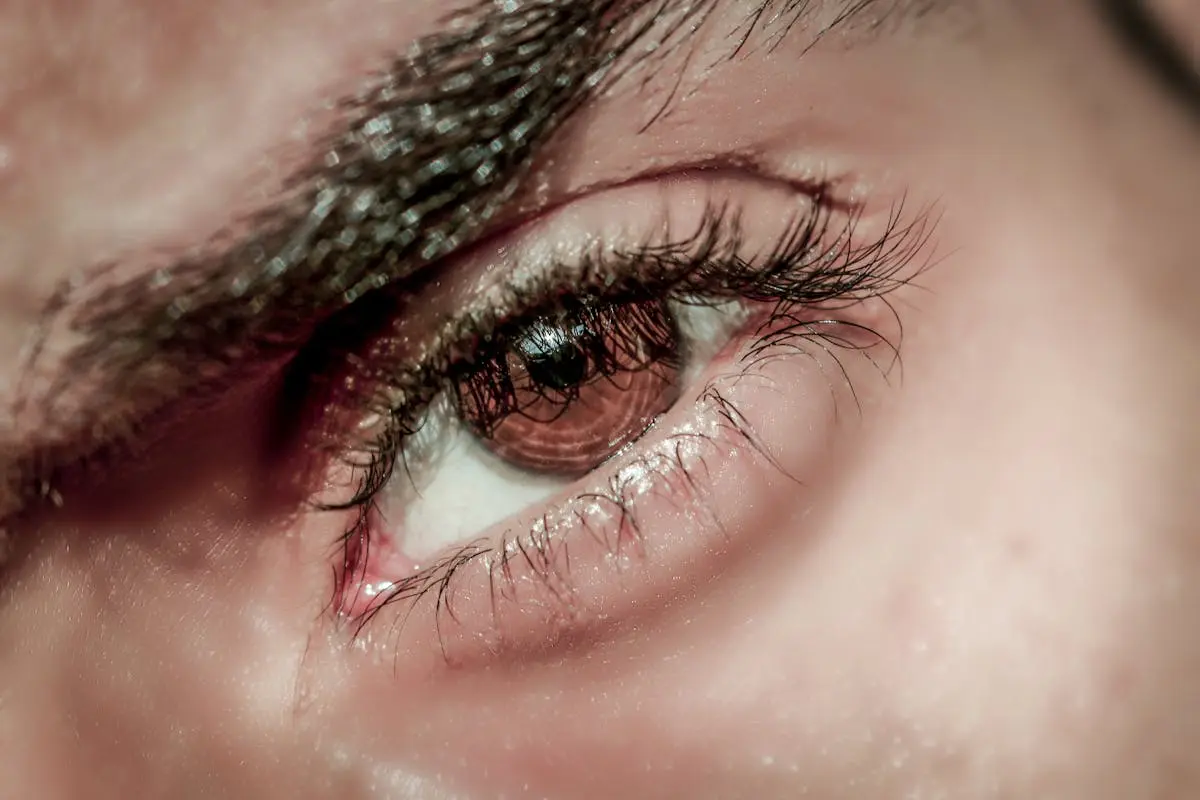 Detailed close-up of a human eye highlighting eyelashes and eyebrow textures.