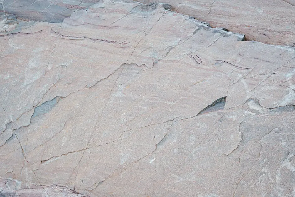 Close-up of a textured stone surface showcasing natural patterns and geological formations.