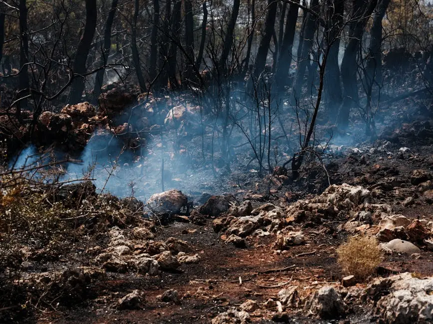 A post-wildfire forest scene with smoke rising from scorched earth and charred trees.
