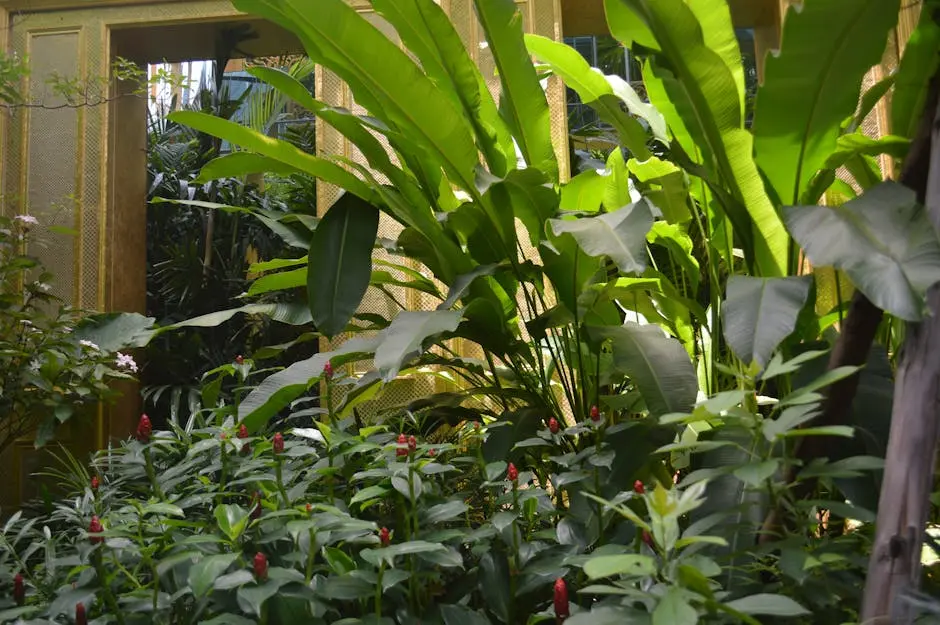 Vibrant tropical plants and lush greenery inside a sunny greenhouse.