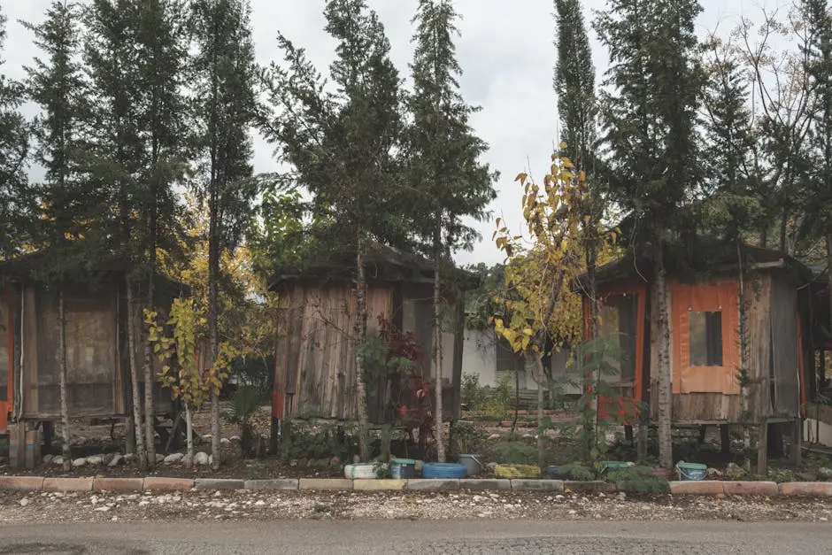 Charming rustic wooden cabins framed by lush trees in a serene forest setting.