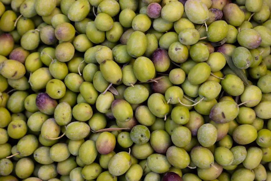 A close-up view of a pile of fresh, organic green olives with a natural texture.