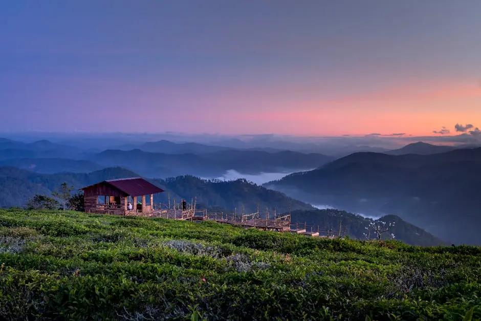 Peaceful mountain landscape at sunrise with a rustic wooden cabin amidst misty hills and lush greenery.
