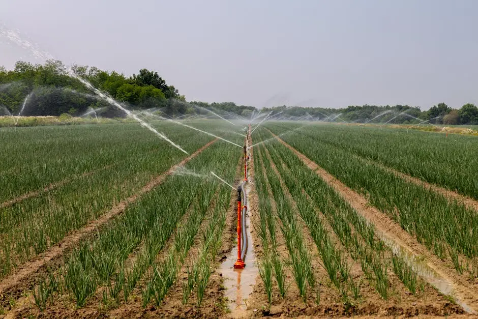 A vast agricultural field in Croatia with a modern irrigation system, enhancing crop growth.