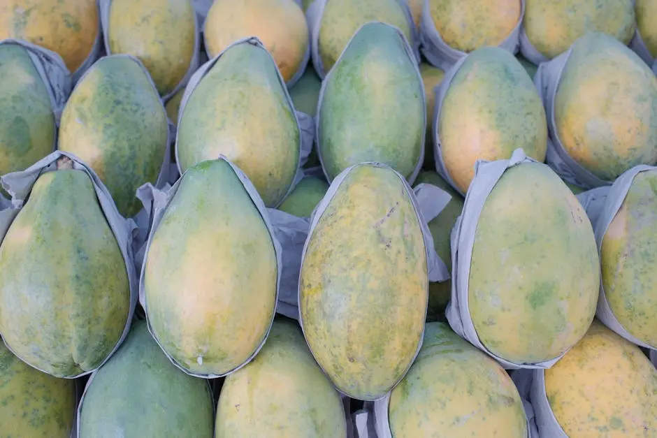 A vibrant collection of ripe green papayas neatly arranged, ideal for healthy eating concepts.