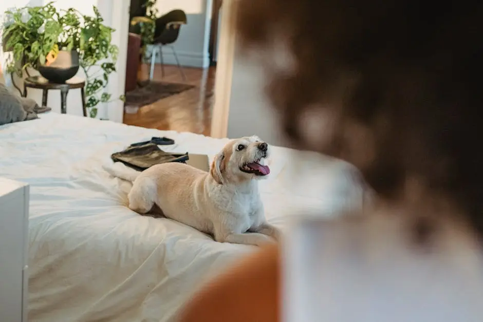 Adorable dog relaxing on a bed in a warm and inviting indoor setting.