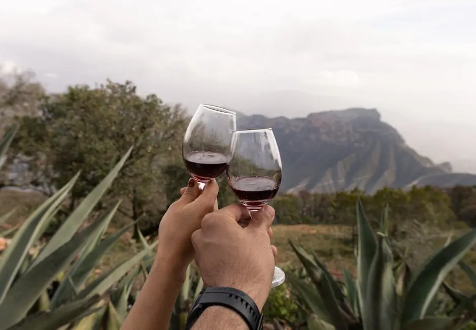 Two people toasting red wine against a stunning mountain backdrop in Pinal de Amoles, Mexico.