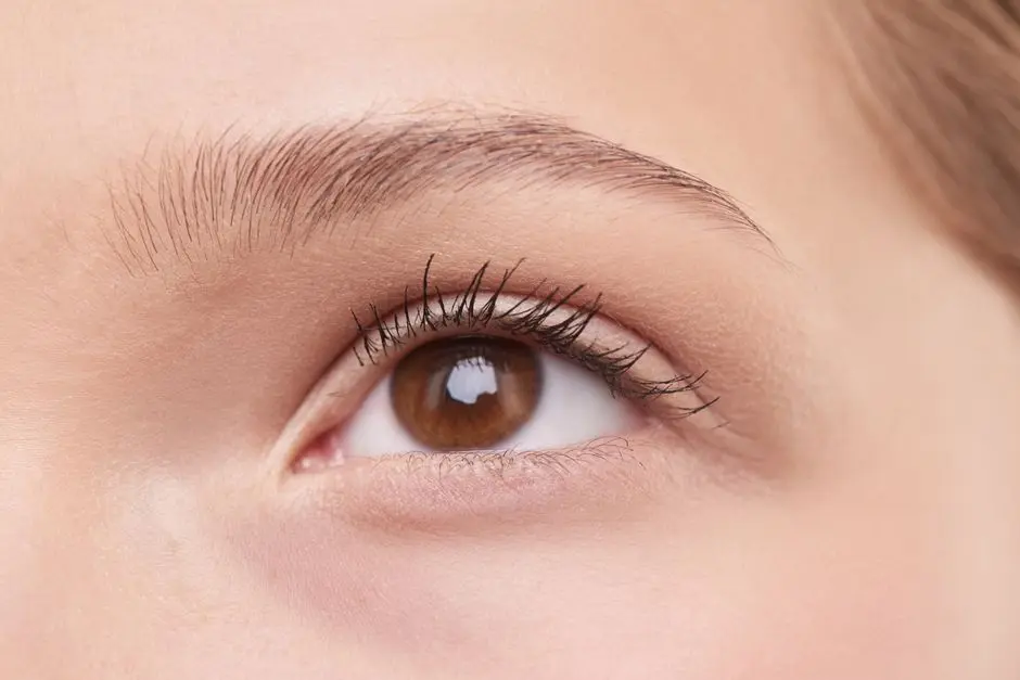 Detailed close-up of a woman’s natural brown eye, showcasing eyelashes and eyebrow.