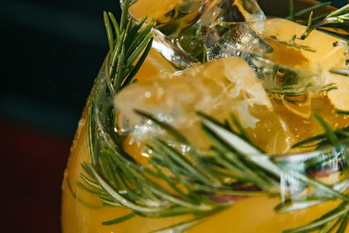 Close-up of a refreshing citrus cocktail garnished with rosemary and ice cubes.