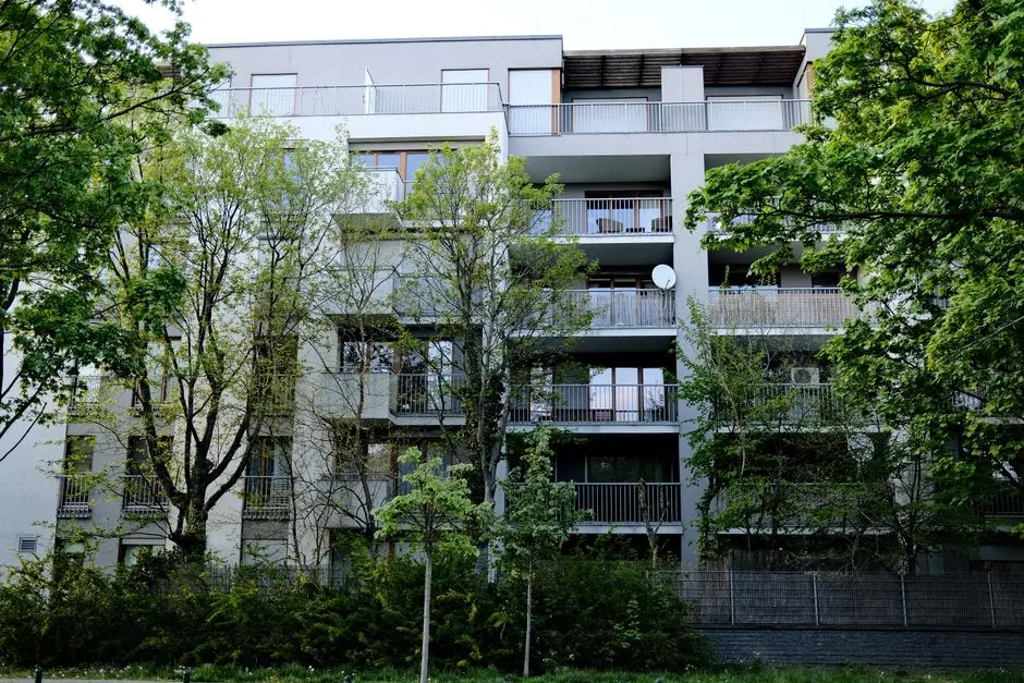 Contemporary urban apartment building enveloped by lush green trees and bushes.