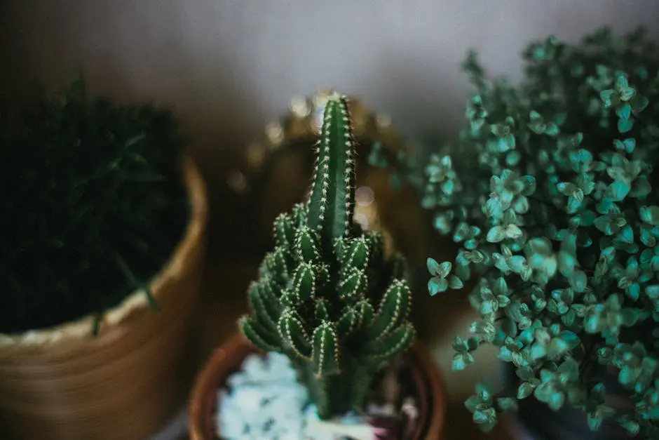 Vibrant green cacti and foliage in clay pots, perfect for indoor gardening inspiration.