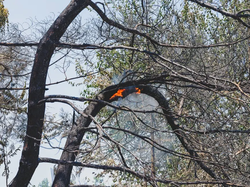 A dramatic view of a charred forest with smoldering branches and small flames highlighting post-fire devastation.