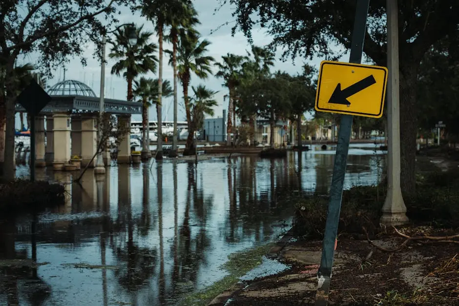 Street view of a flooded road lined with palm trees and a leaning traffic sign, reflecting urban flooding.