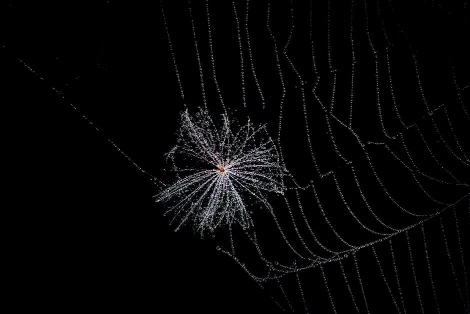 A spider web glistening with dew droplets against a dark background, captured at night.