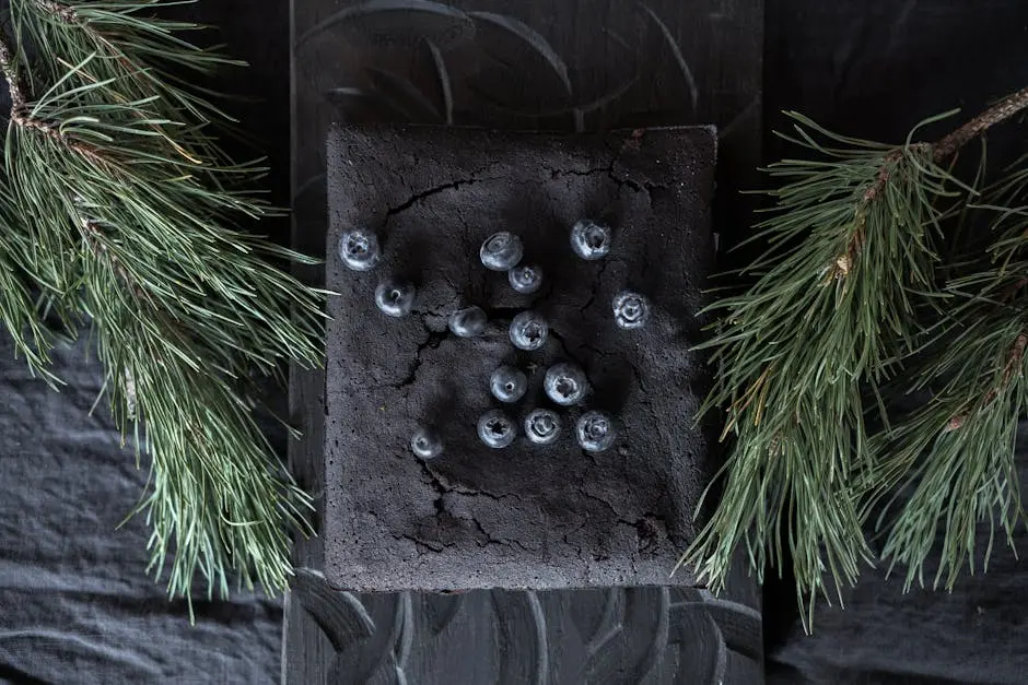 A stylish still life of a dark chocolate cake topped with blueberries, surrounded by pine twigs.