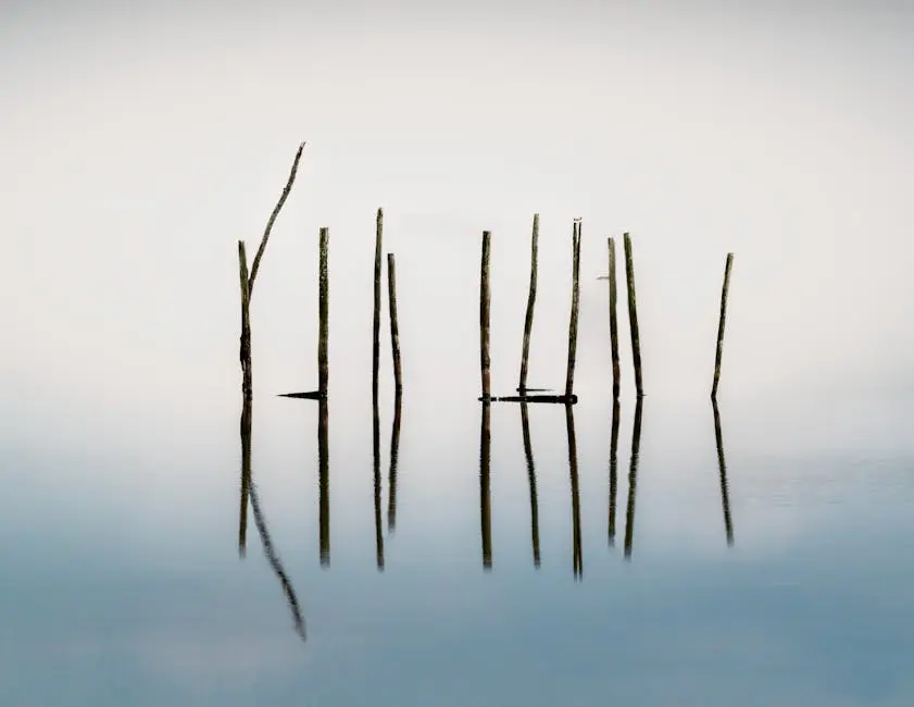 Minimaliste