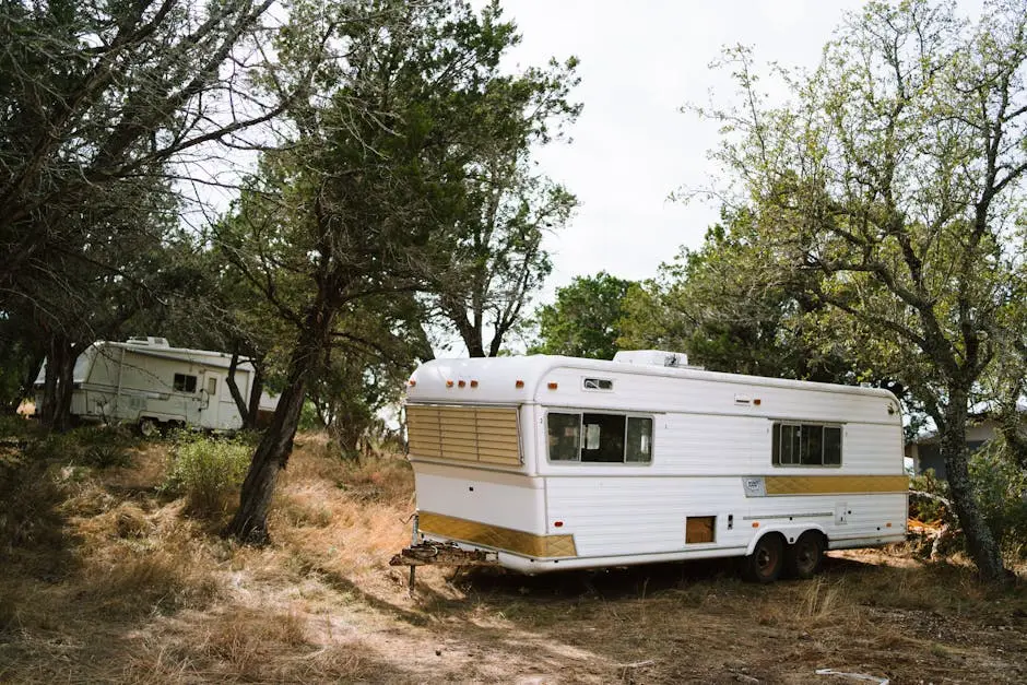 Vintage camper trailers set amidst trees in a peaceful Texas forest scene.