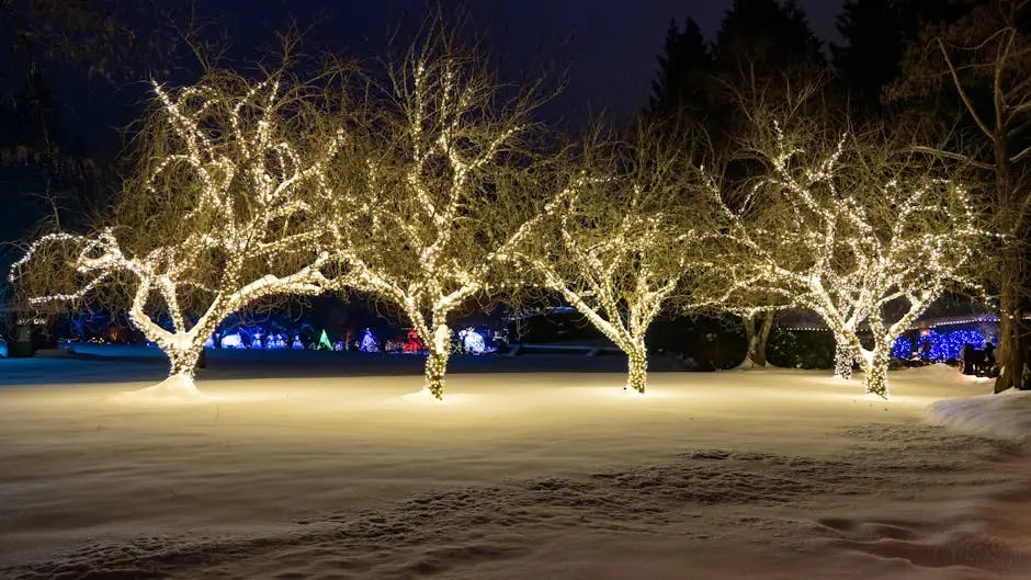 Snow-covered trees adorned with magical Christmas lights create an enchanting winter scene at night.