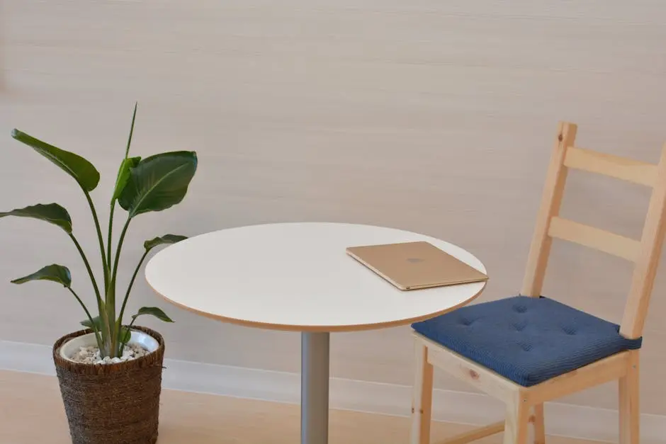 A sleek minimalist office space featuring a table with a laptop and a potted indoor plant beside a wooden chair.