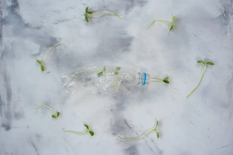 Crushed plastic bottle surrounded by seedlings, symbolizing ecological regeneration.