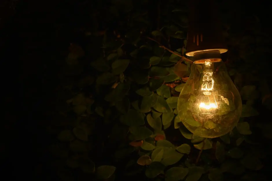 Close-up of a glowing bulb against a dark leafy background, creating a warm ambient glow.