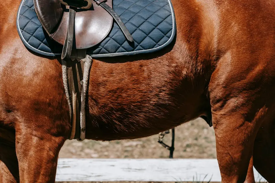 Detailed close-up of a saddle on a brown horse, showcasing equestrian gear.