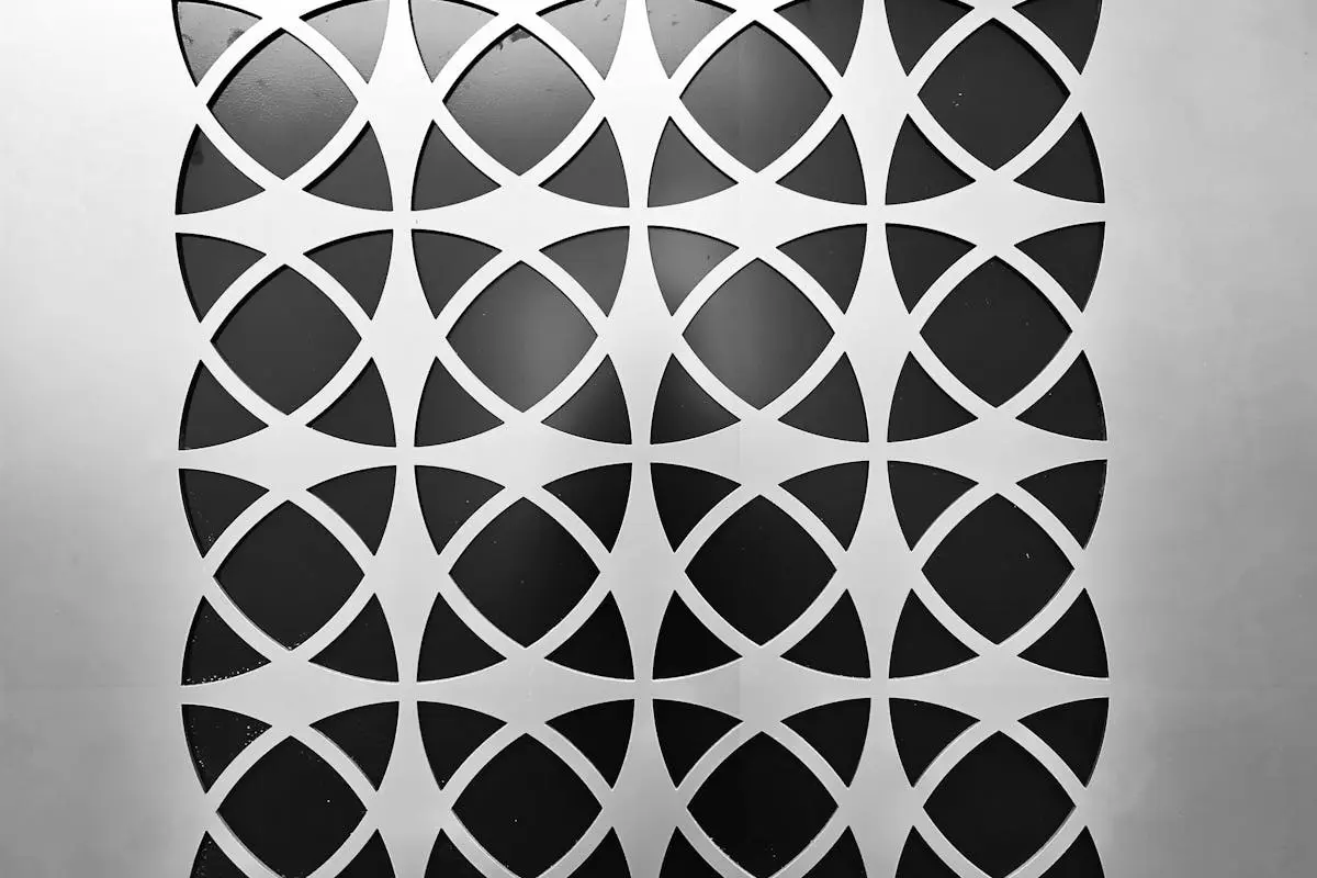 Black and white geometric pattern with abstract shapes creating a modern design.