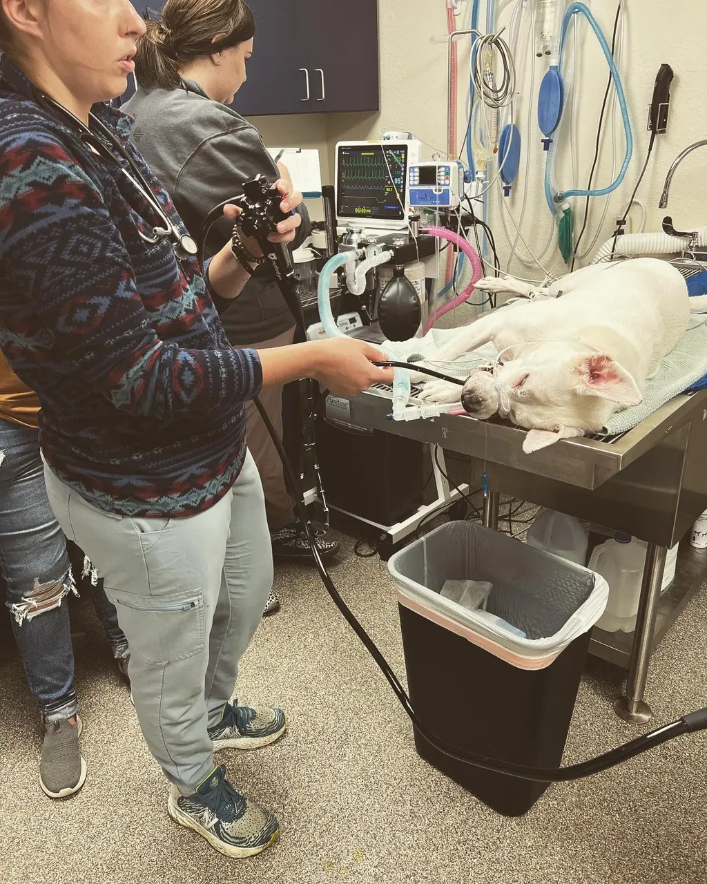 foreign body removal