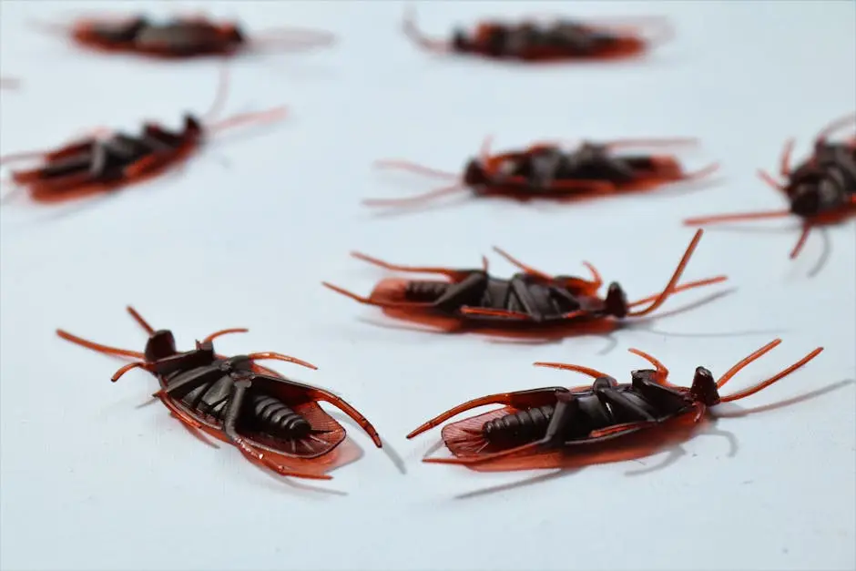 Detailed macro image of several dead cockroaches scattered on a white surface, depicting pest control.