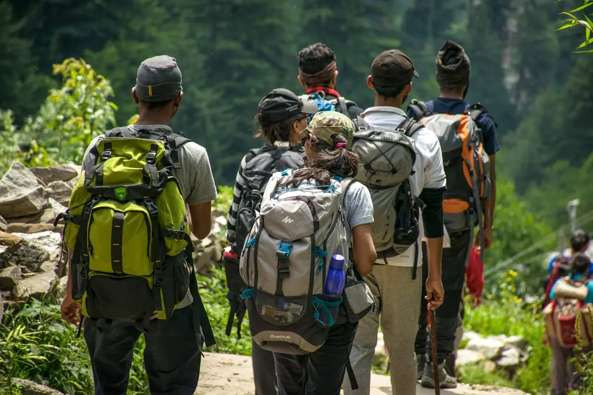 An adventurous group hike in a lush forest setting with vibrant green surroundings.