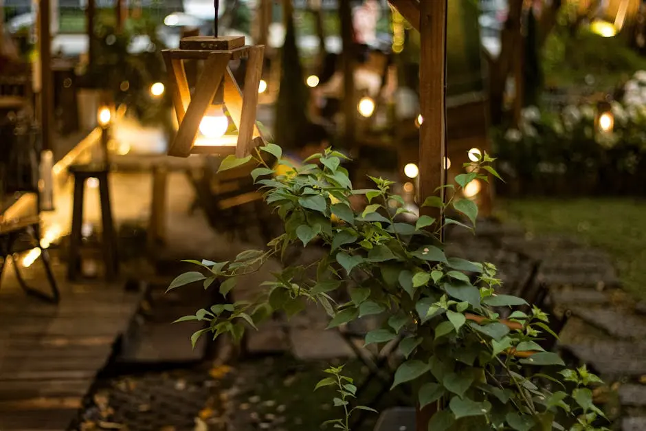 Warm garden lighting with green foliage in a cozy outdoor setting in Ho Chi Minh.