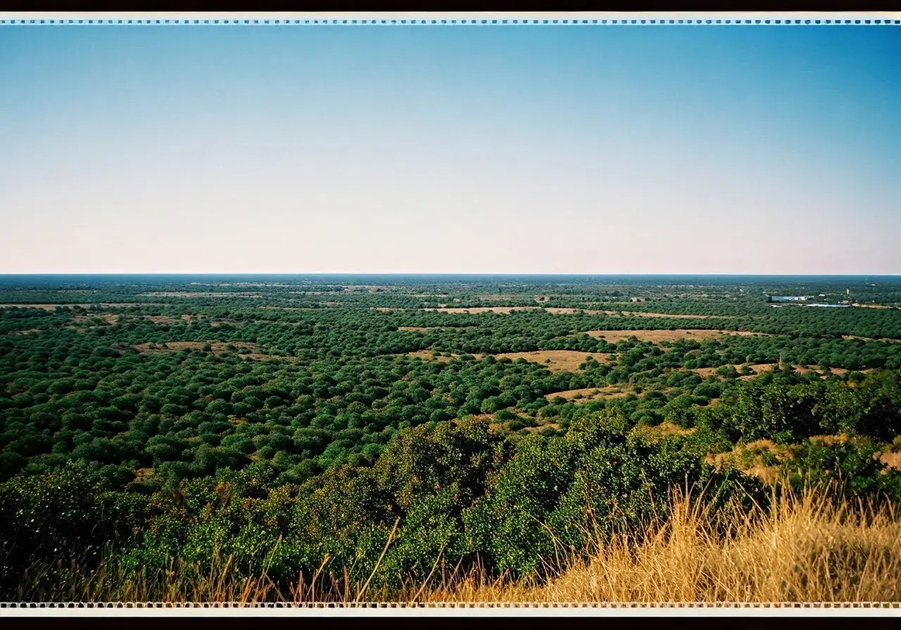 Serene Texas landscape promoting mental health and inclusivity. 35mm stock photo