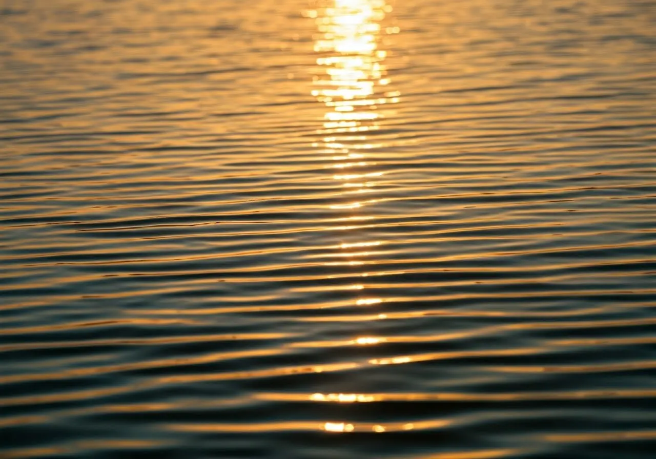 Close-up of gentle water ripples reflecting soft sunlight. 35mm stock photo