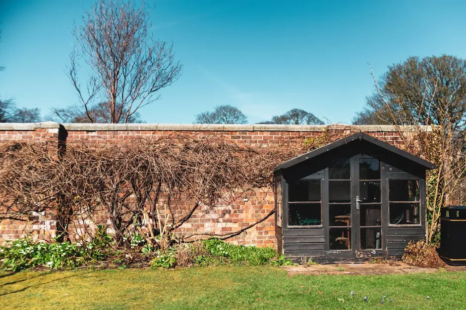 A quaint backyard shed with dried plants against a rustic brick wall and clear blue sky.